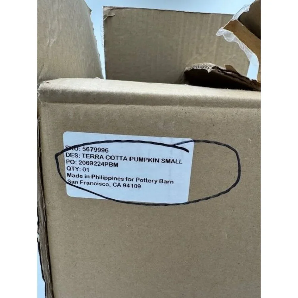 Pottery Barn nwt rare